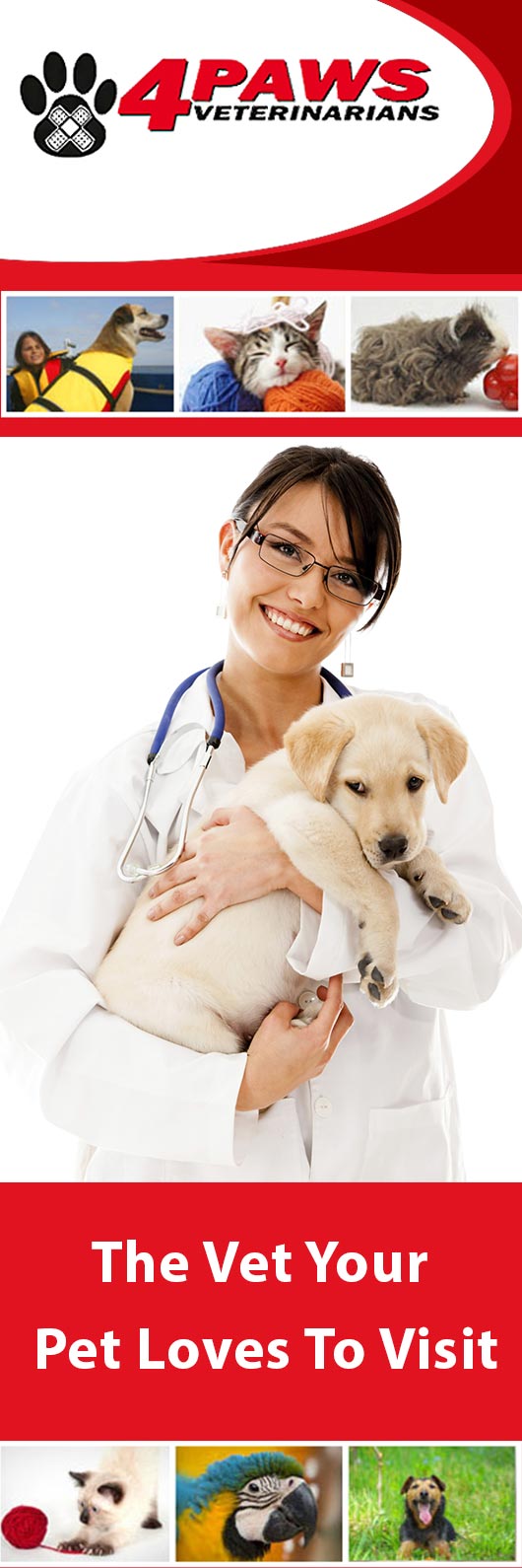 4 Paws Veterinarians