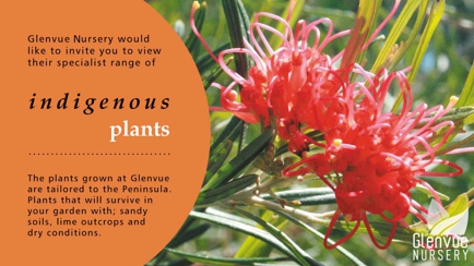 Glenvue Wholesale Nursery Hero Image