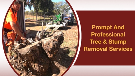 Eldridge Tree Service Hero Image