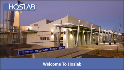 Hoslab Hero Image