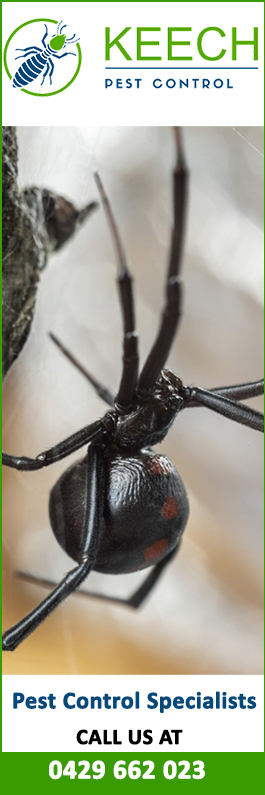 Keech Pest Control