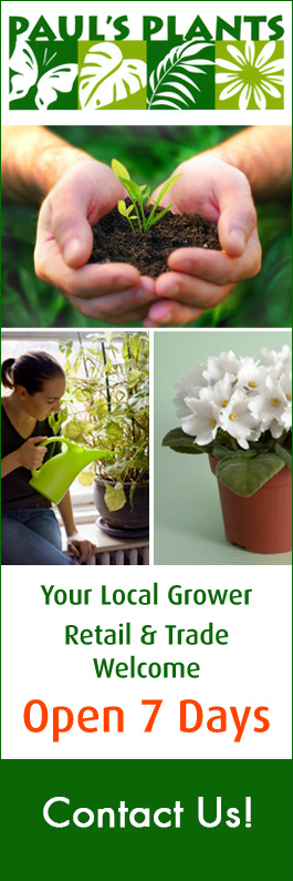 Paul's Plants