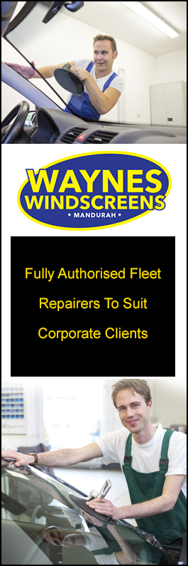 Wayne's Windscreens
