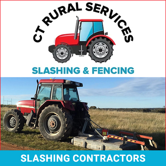 CT Rural Services