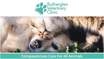 Rutherglen Veterinary Clinic Hero Image
