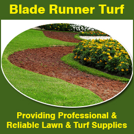 Blade Runner Turf