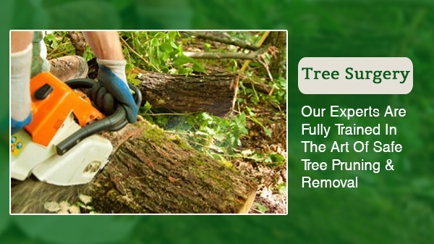 Hobart Tree Chipping & Recycling Hero Image