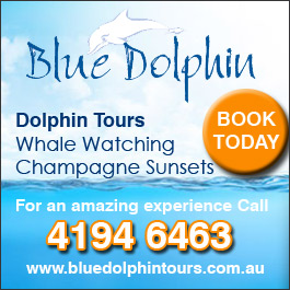 Blue Dolphin Marine Tours.