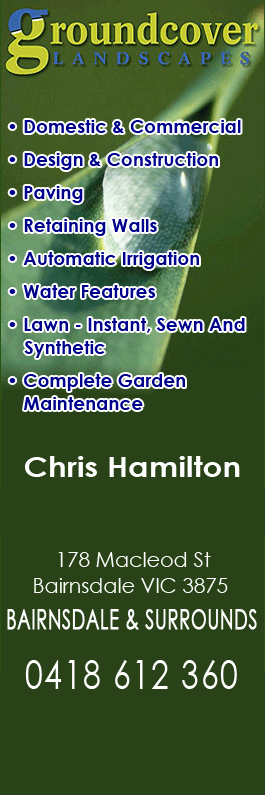 Groundcover Landscapes