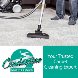 Pro Carpet Cleaning