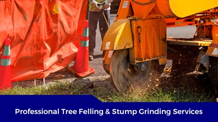 Midwest Mini Excavator & Tree Removalist Hero Image
