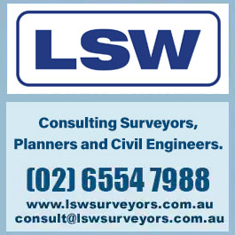 LSW Surveyors