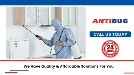 Antibug Pest Management Hero Image