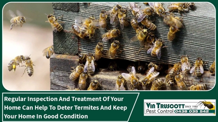 Vin Truscott Pest Control Hero Image