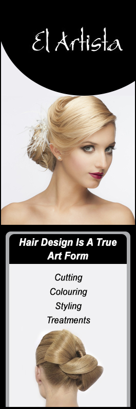 El Artista Hairdressing