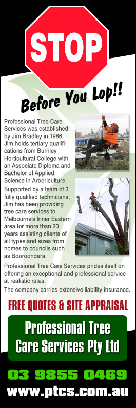 Professional Tree Care Services