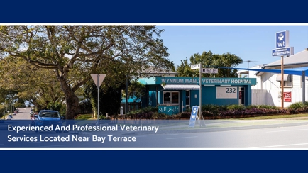 Wynnum Manly Vet Hospital Hero Image