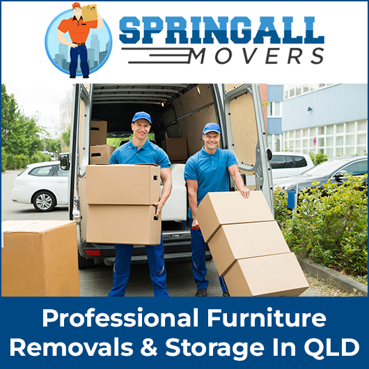 Springall Movers