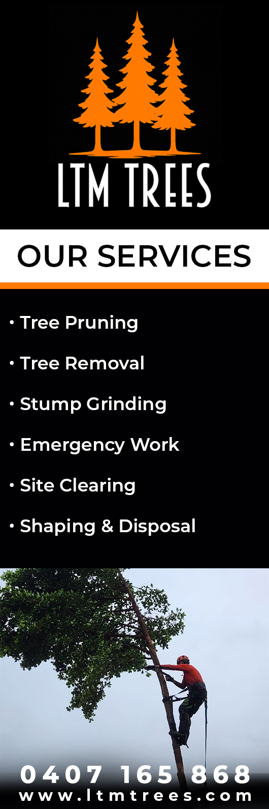 LTM Trees