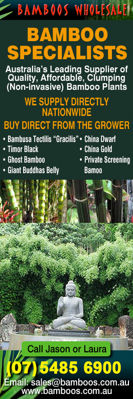Bamboos Wholesale