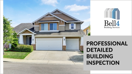 Bell 4 Pest and Build Inspections Hero Image