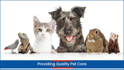 Wetherill Park Vet Clinic Hero Image