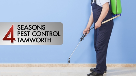 4 Seasons Pest Control Tamworth Hero Image