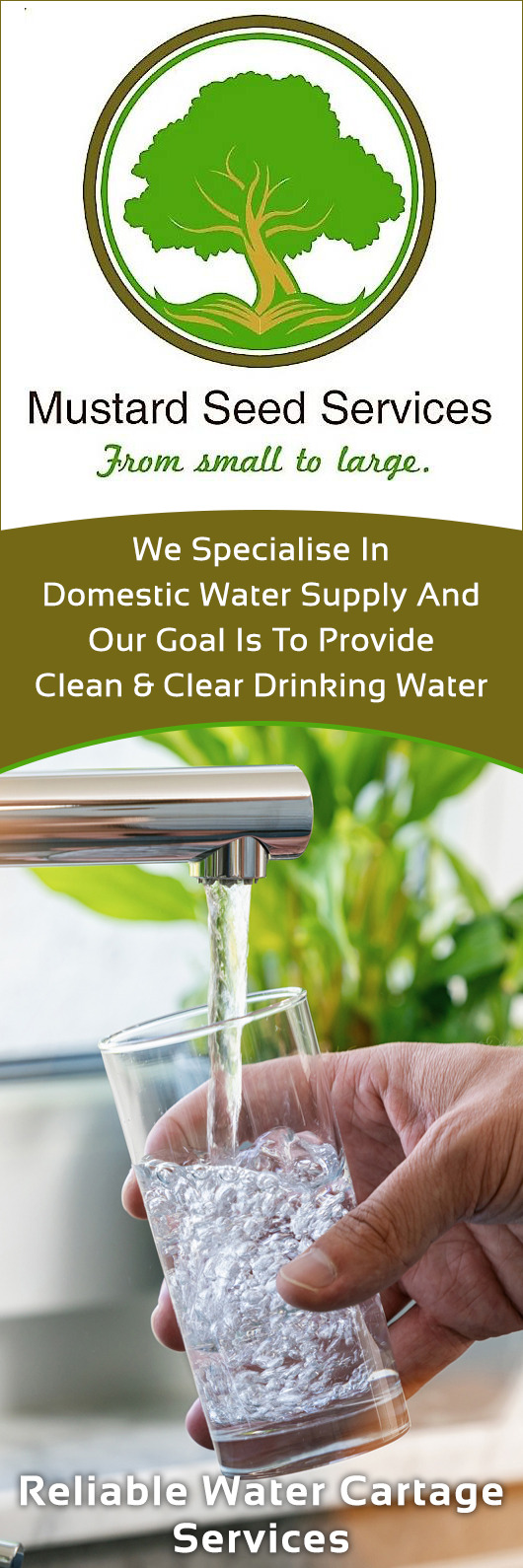 Mustard Seed Services