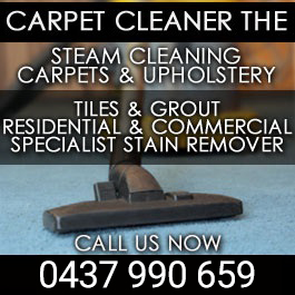 Carpet Cleaner The