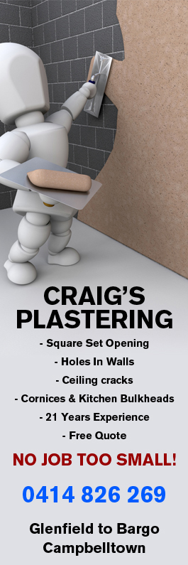 Craig's Plastering