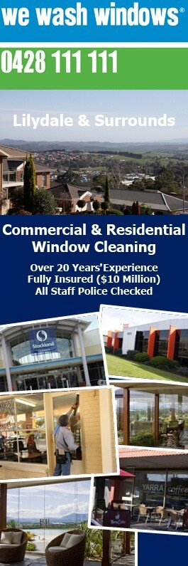 We Wash Windows