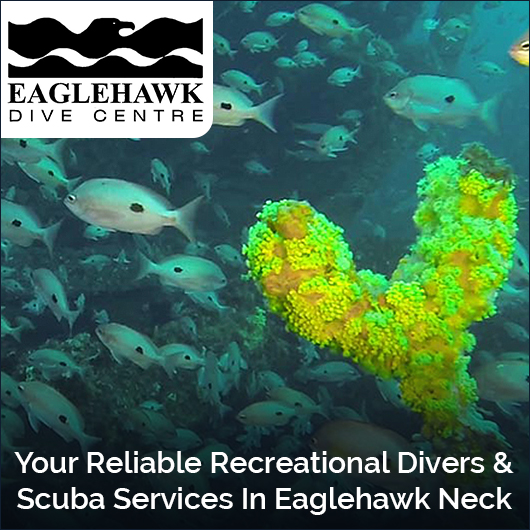 Eaglehawk Dive Centre