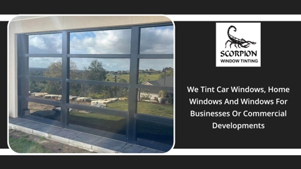 Scorpion Window Tinting Hero Image