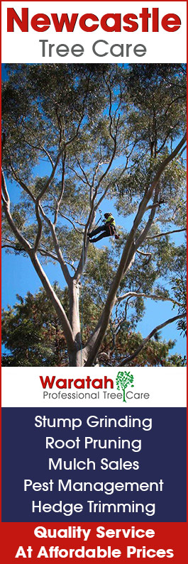 Newcastle Tree Care