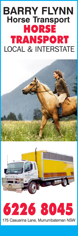 Barry Flynn Horse Transport