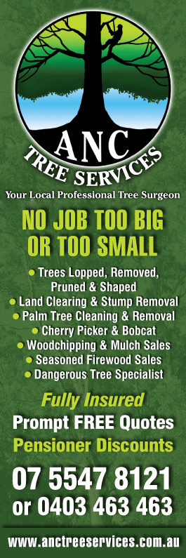 ANC Tree Services
