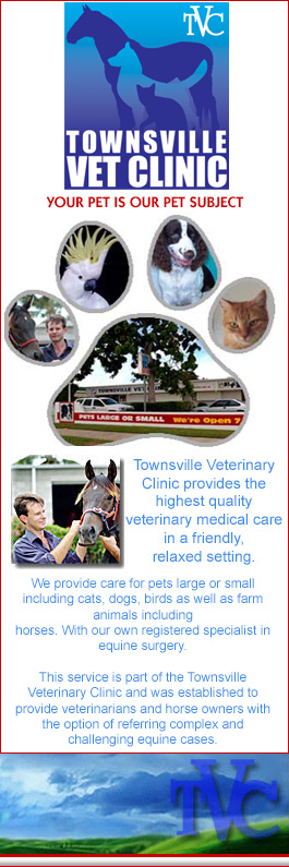 Townsville Veterinary Clinic