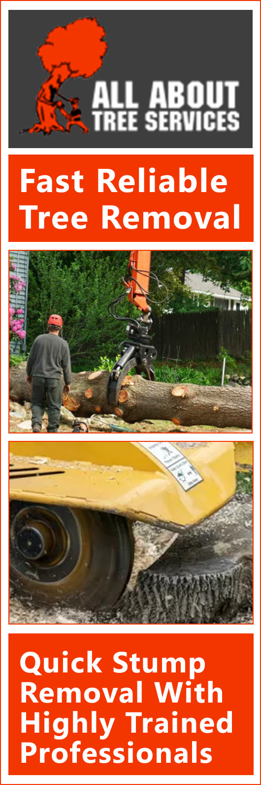 All About Tree Services QLD