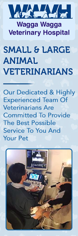 Wagga Wagga Veterinary Hospital
