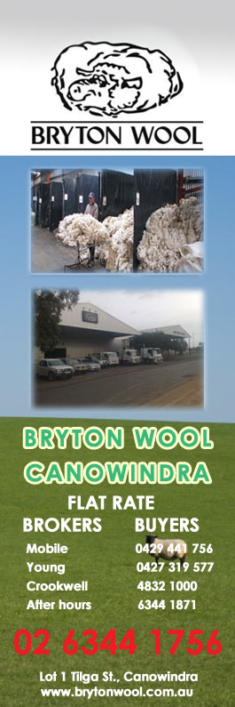 Bryton Wool