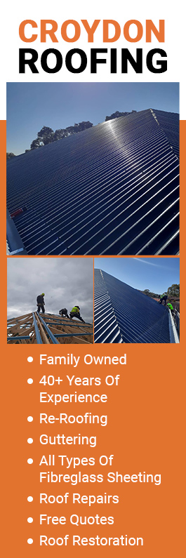 Croydon Roofing