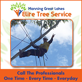 Manning Great Lakes Elite Tree Service