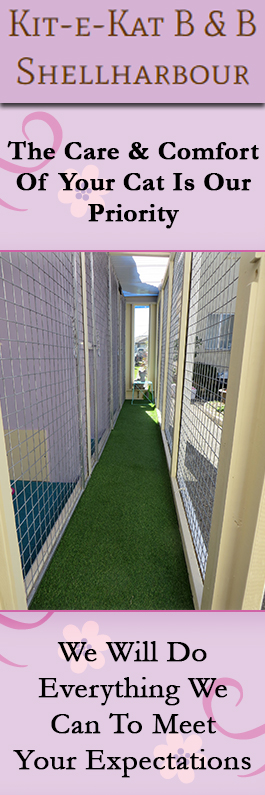 Kit-e-Kat B & B Shellharbour