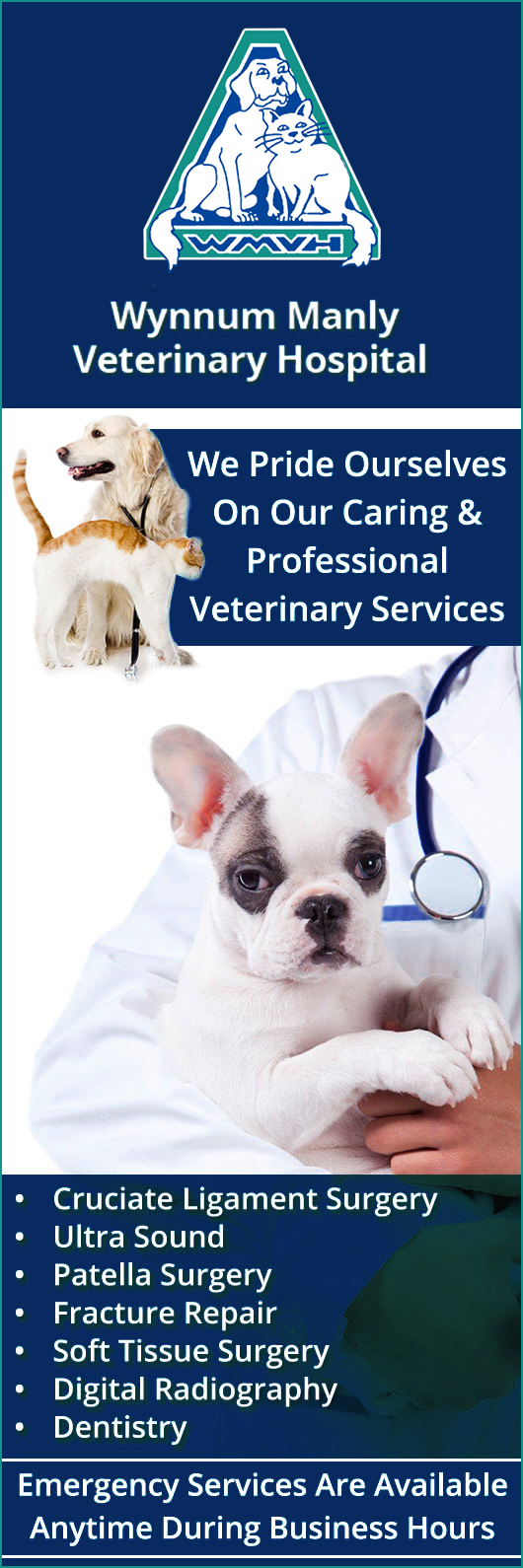 Wynnum Manly Vet Hospital
