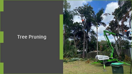 Speedline Tree Surgery Hero Image