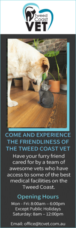 Tweed Coast Vet