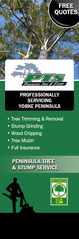 Peninsula Tree & Stump Service