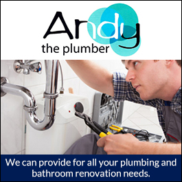 Andy The Plumber