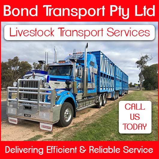 Bond Transport Pty Ltd