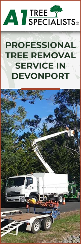 A1 Tree Specialists